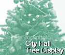 City Hall Tree Display